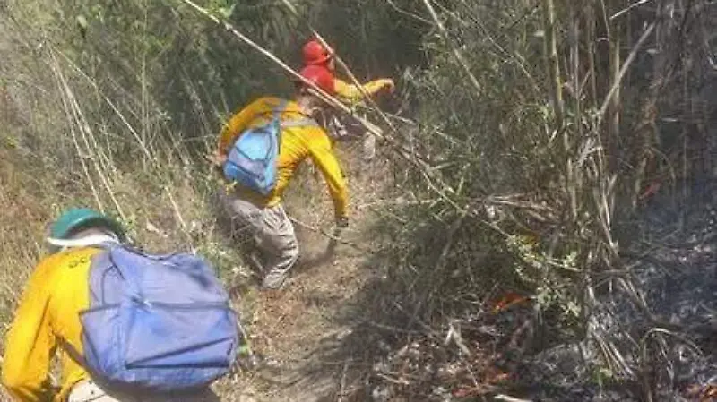 bomberos